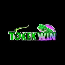 tokekwin APK Simulation